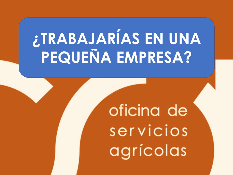 ¿TRABAJARÍAS EN UNA PEQUEÑA EMPRESA?